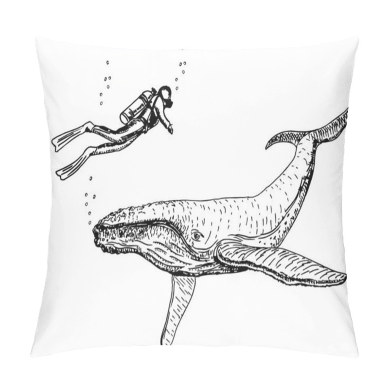 Personality  Whales. Sketch Set. Hand Drawn Whales And Scuba Diver In Engraving Style. Zoological Illustration Pillow Covers