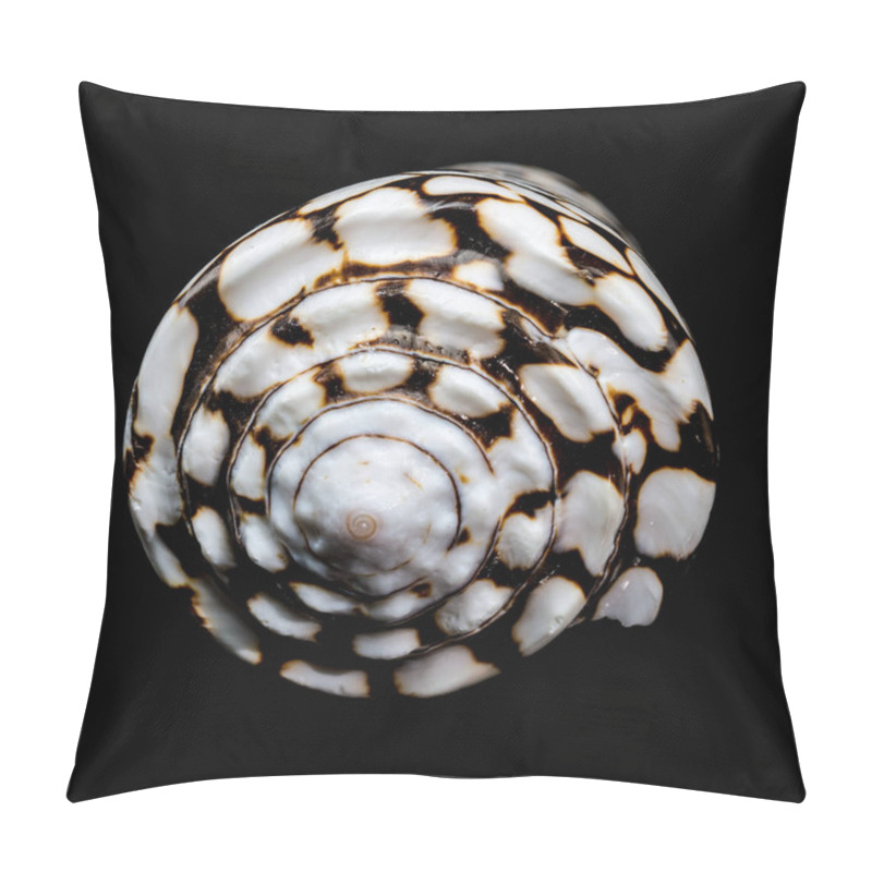 Personality  A Striking Close-up Of The Conus Marmoreus Shell, Showcasing Its Intricate Black-and-white Marbled Pattern On A Smooth Surface, Isolated Against A Sleek Black Background Pillow Covers