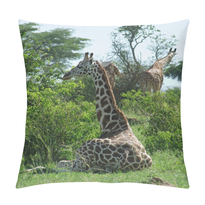 Personality  Sunny Illuminated Giraffes In Uganda Pillow Covers