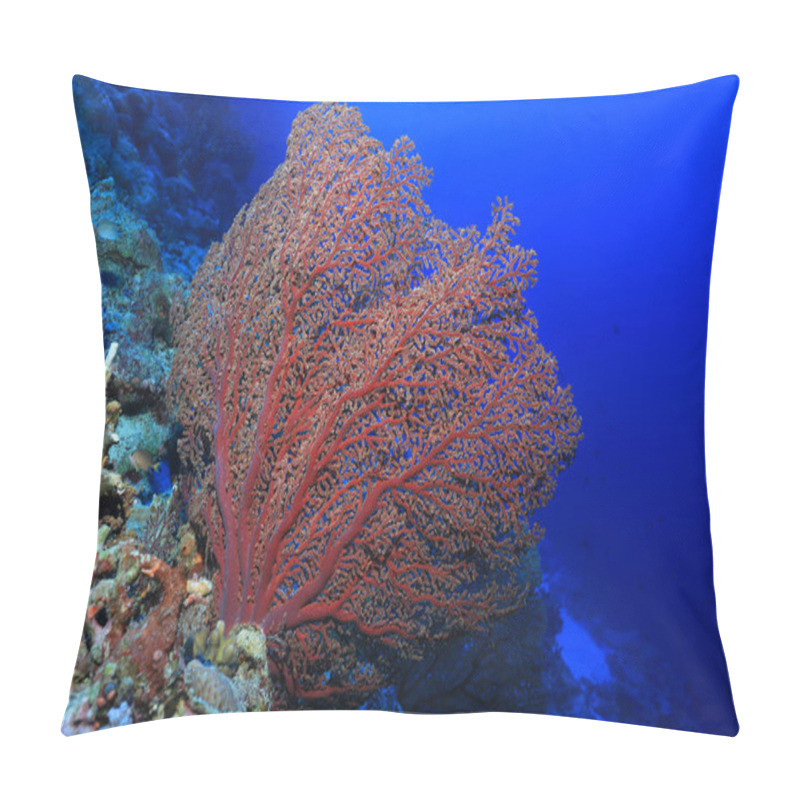 Personality  Beautiful Fan Coral Underwater In The Osprey Reef In The Coral Sea Close To Australia  Pillow Covers