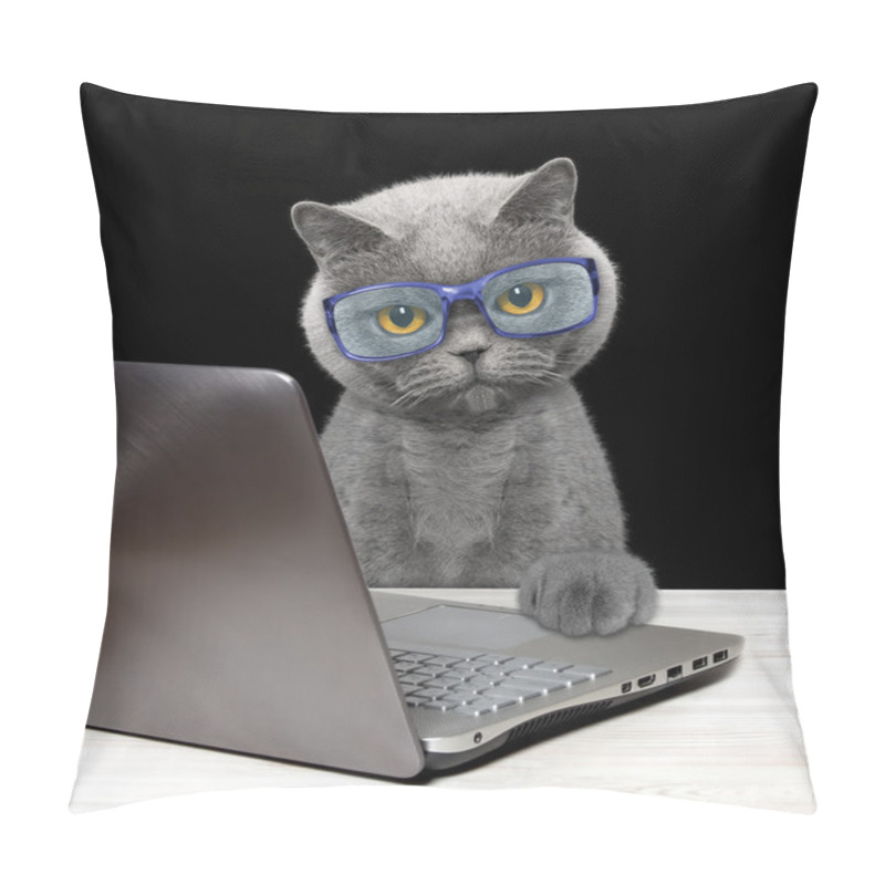 Personality  Cat Using Laptop Or Notebook  Pillow Covers