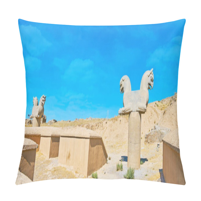 Personality  Sculptures Of Persepolis, Iran Pillow Covers