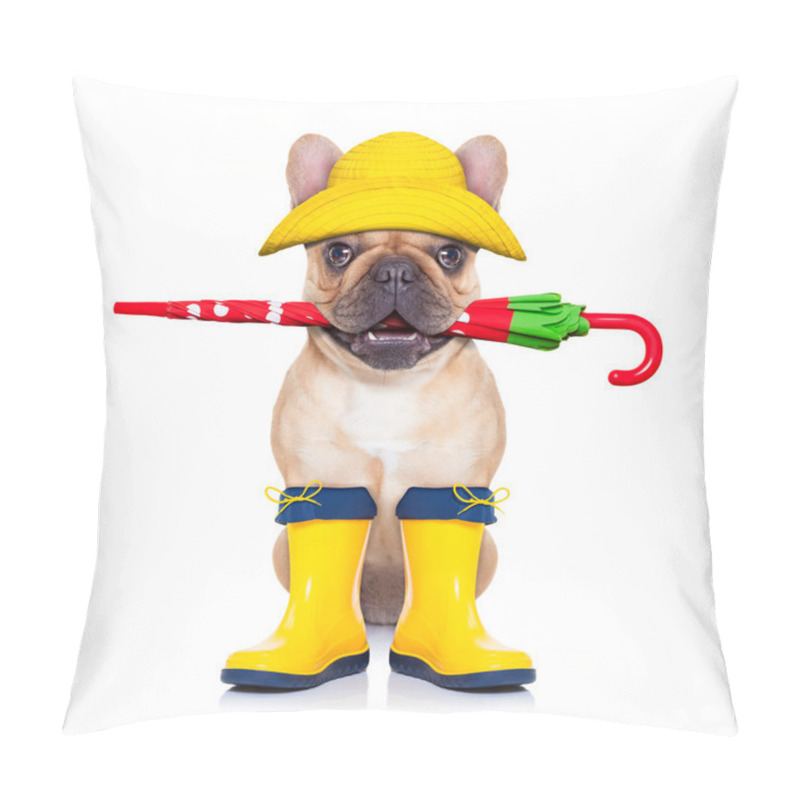 Personality  Fawn French Bulldog Ready For A Walk Pillow Covers