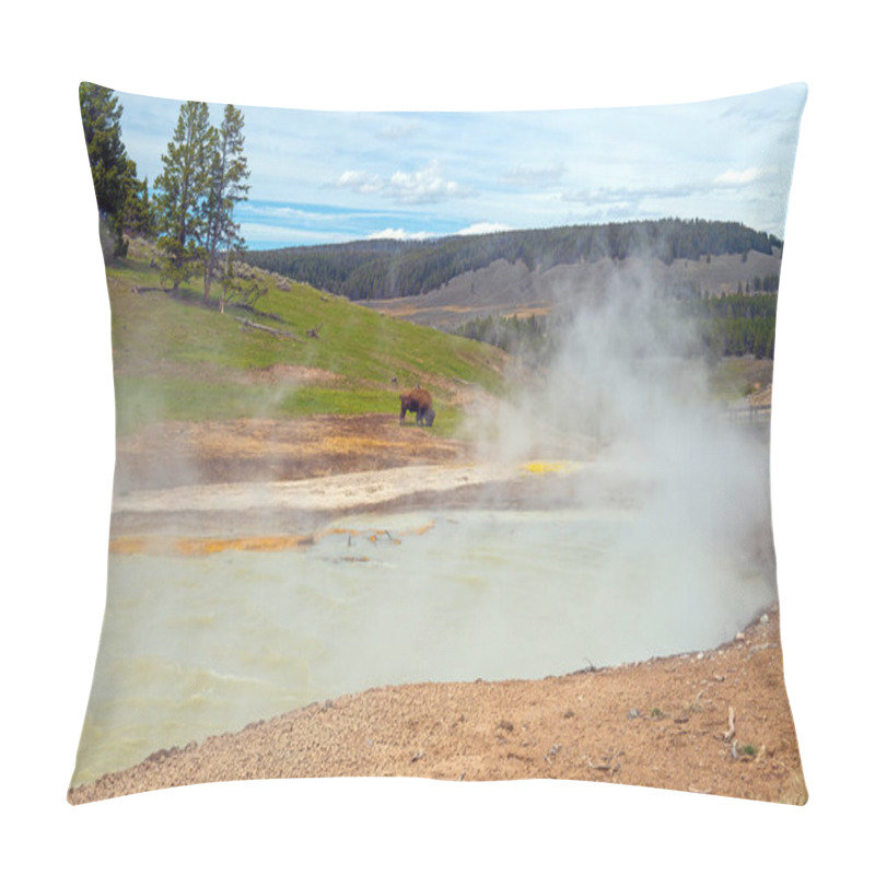 Personality  Bison Grazing By Thermal Pools In Yellowstone National Park In Wyoming Pillow Covers