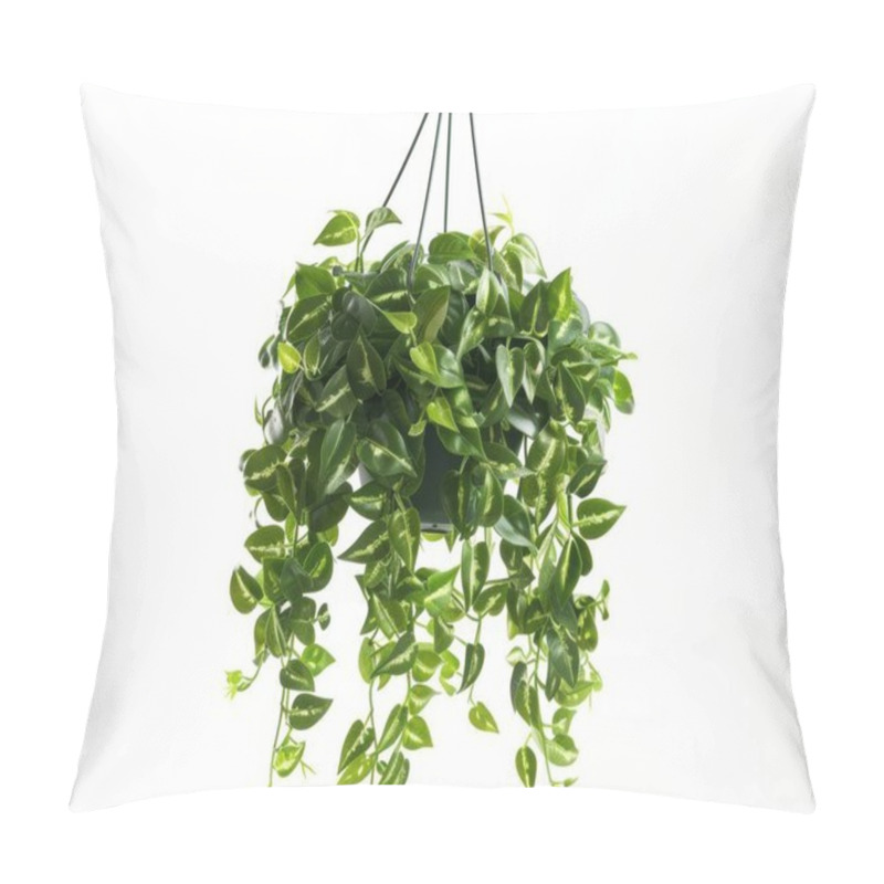 Personality  A Lush Green Hanging Plant With Cascading Vines, Creating A Vibrant And Fresh Atmosphere. Pillow Covers