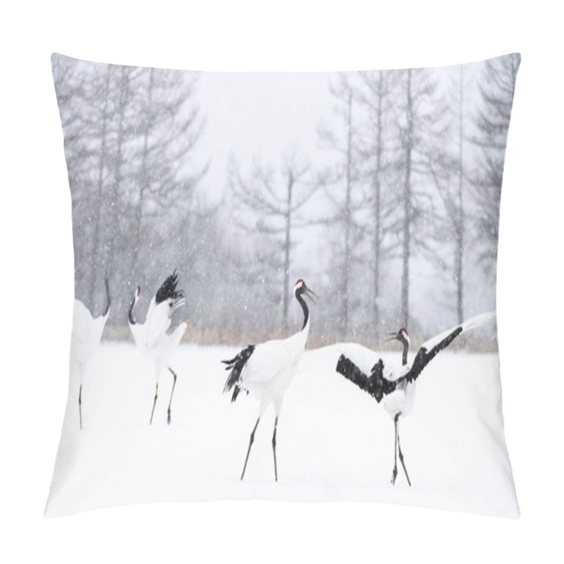 Personality  Dancing Cranes. The Ritual Marriage Dance Of Cranes. The Red-crowned Cranes. Scientific Name: Grus Japonensis, Also Called The Japanese Crane Or Manchurian Crane, Is A Large East Asian Crane. Pillow Covers