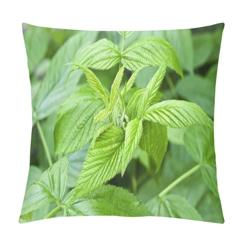 Personality  Green Raspberry Leaves Pillow Covers