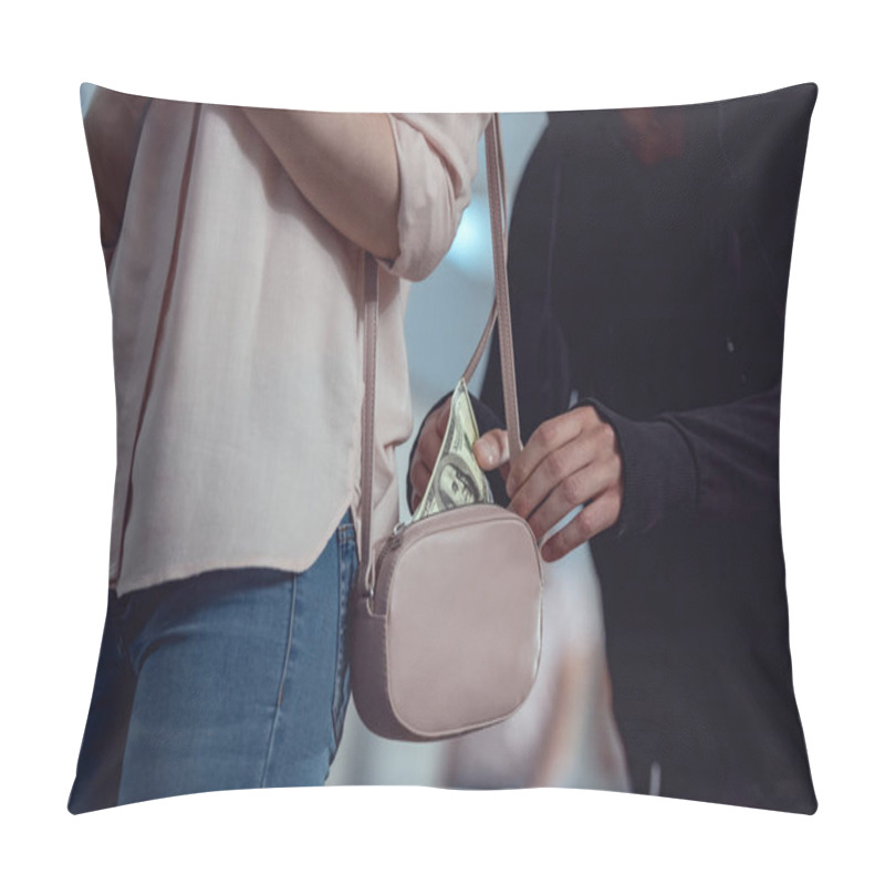 Personality  Cropped View Of Thief Stealing Dollar Banknotes From Bag Of Woman Pillow Covers