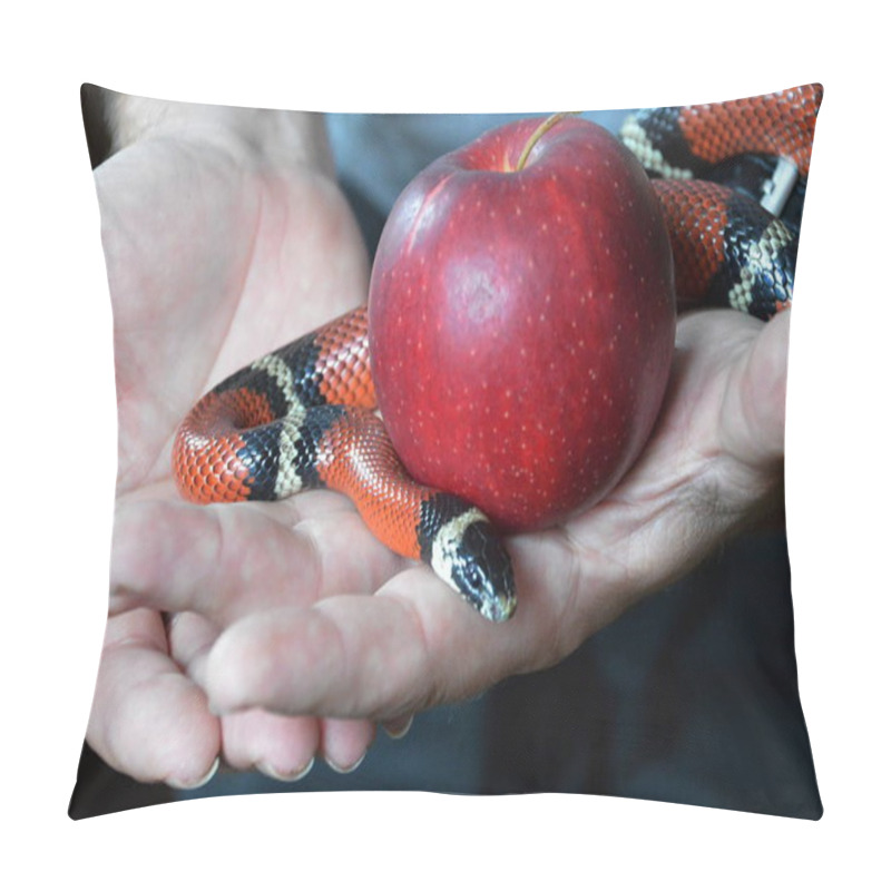 Personality  Hand Holding The Forbidden Fruit And A Curling Snake Pillow Covers