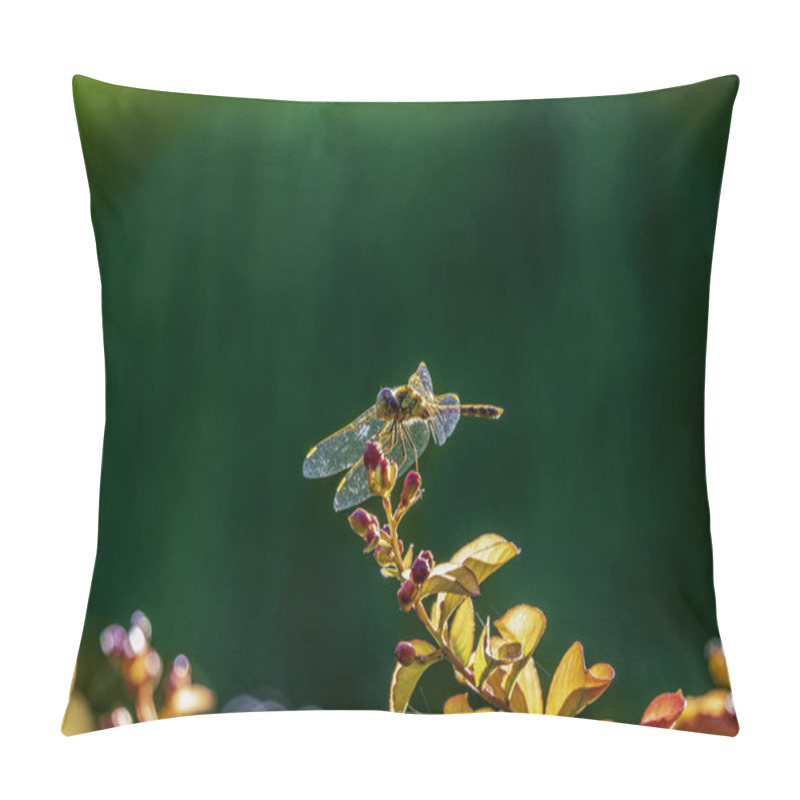 Personality  Dragonfly Perched On Vibrant Flower Buds Against A Lush Green Background Pillow Covers