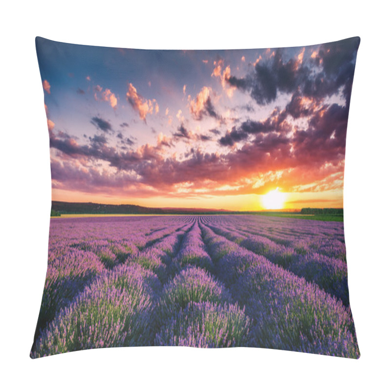 Personality  Lavender Flower Blooming Fields In Endless Rows. Sunset Shot. Pillow Covers