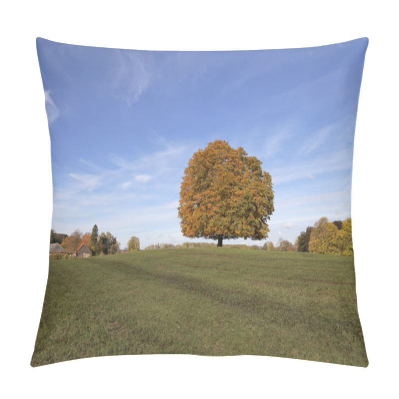 Personality  Horse Chestnut Tree (Aesculus Hippocastanum) Conker Tree In Autumn, Lengerich, North Rhine-Westphalia, Germany, Europe Pillow Covers