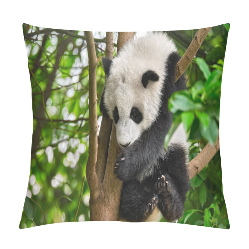 Personality  Giant Panda Bear In China Pillow Covers