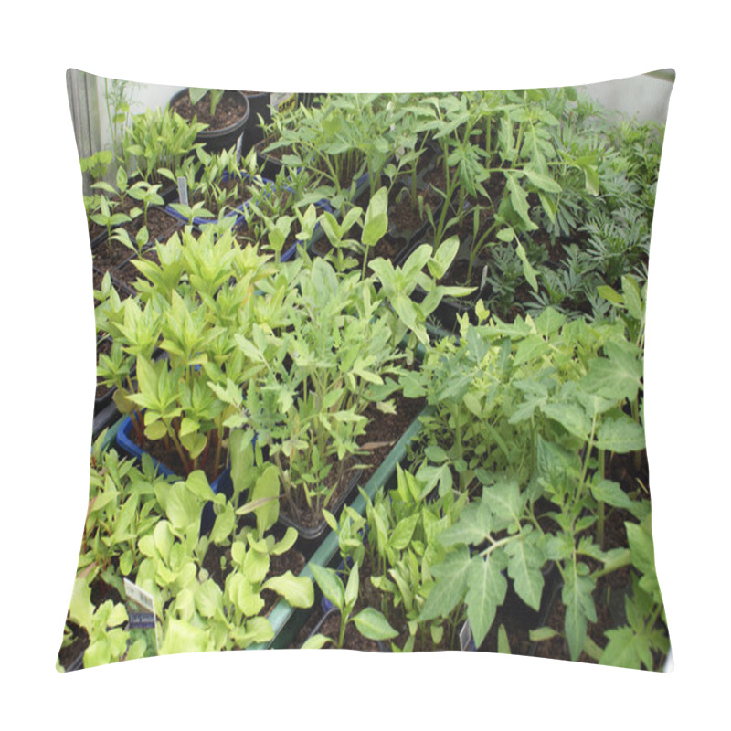 Personality  Seedings Pillow Covers