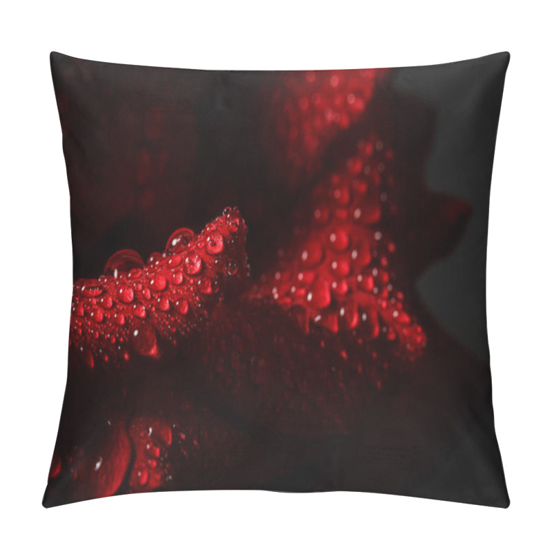 Personality  Red Rose With Dew On A Black Background Pillow Covers