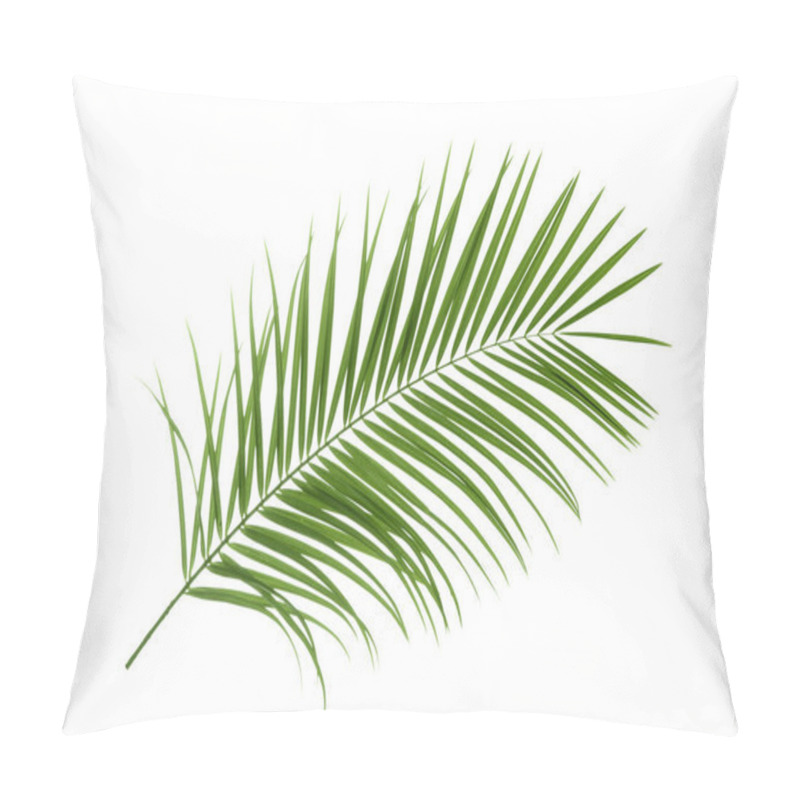 Personality  Beautiful Tropical Sago Palm Leaf On White Background Pillow Covers