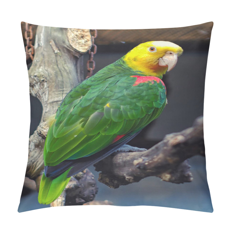 Personality  Double Yellow Headed Amazon (Amazona Oratrix) Pillow Covers