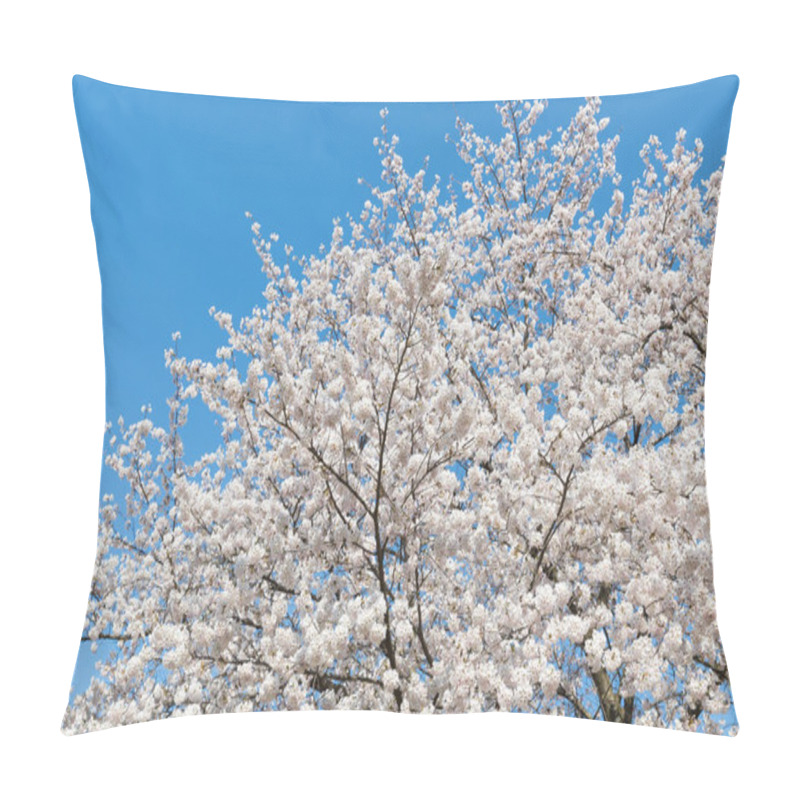 Personality  Close Up Of Tree Branches With Sakura Blossom  Pillow Covers