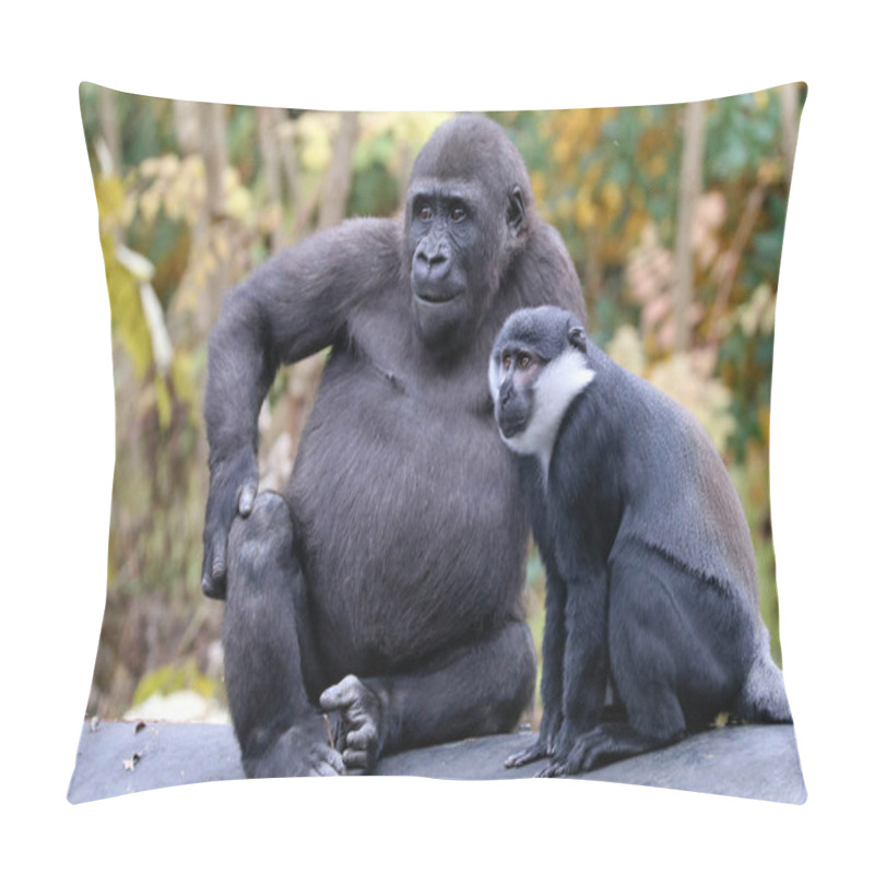 Personality  Gorilla And LHoest Monkey Pillow Covers