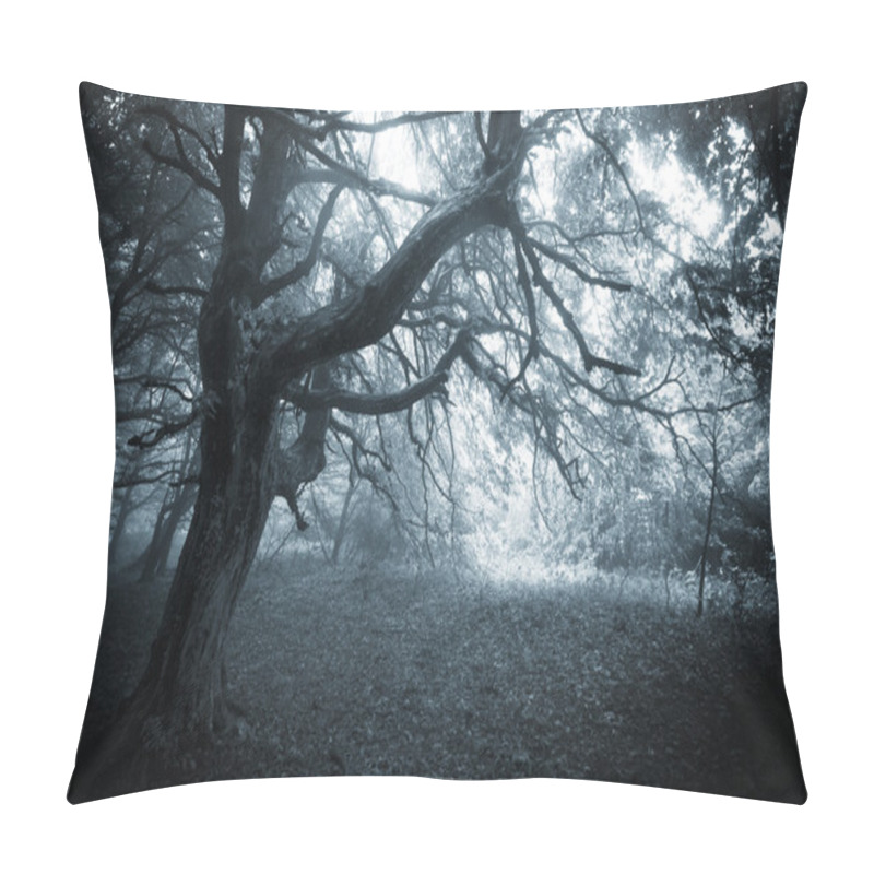 Personality  Dark Creepy Scene In A Forest With Fog And Scary Tree On Halloween Pillow Covers