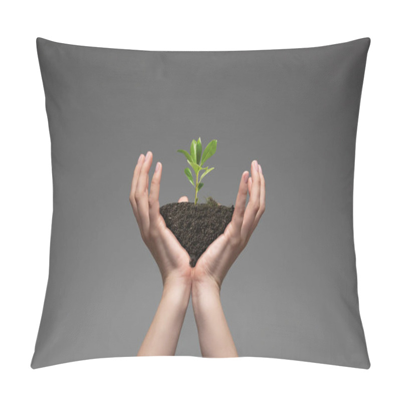 Personality  Human Hands Holding A Fresh Green Plant, Symbol Of Growing Business, Environmental Conservation And Bank Savings. Planet In Your Hands. Pillow Covers