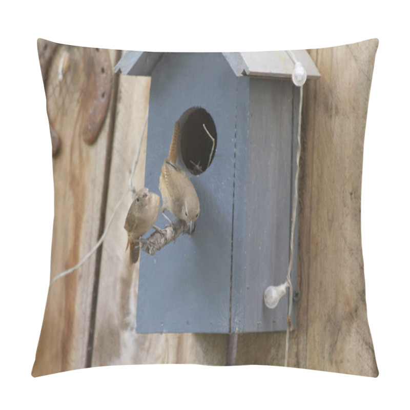 Personality  Birds Caring For The Nest In A Birdhouse Mounted On A Wooden Fence Pillow Covers