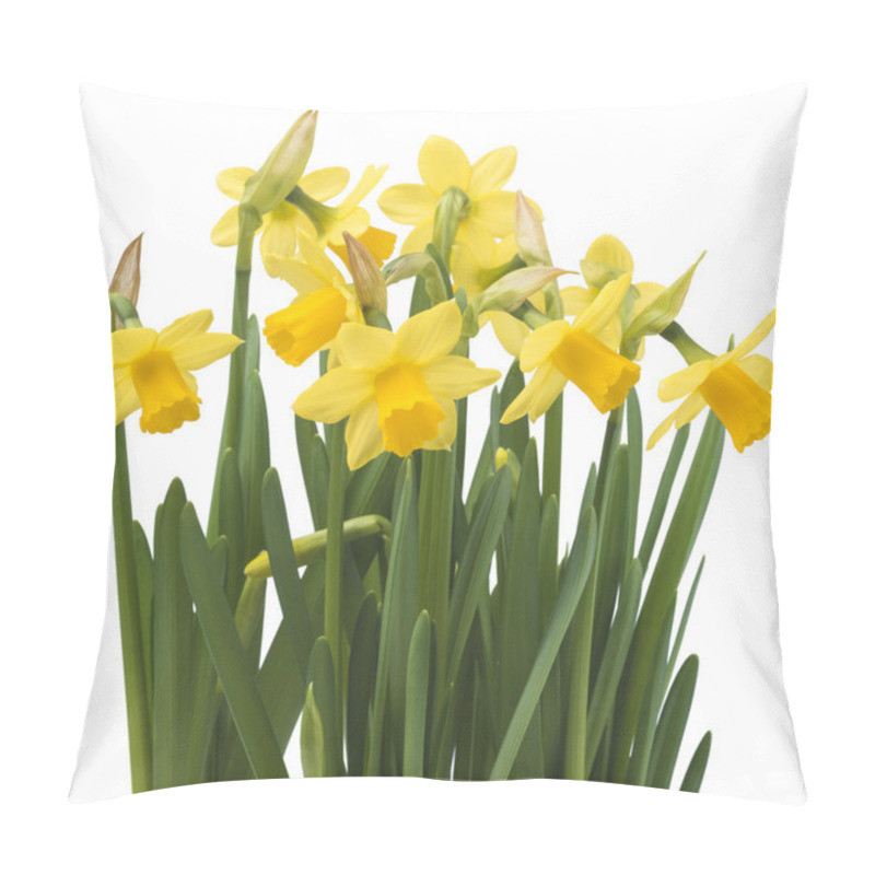 Personality  Daffodil Narcissus Flowers Pillow Covers