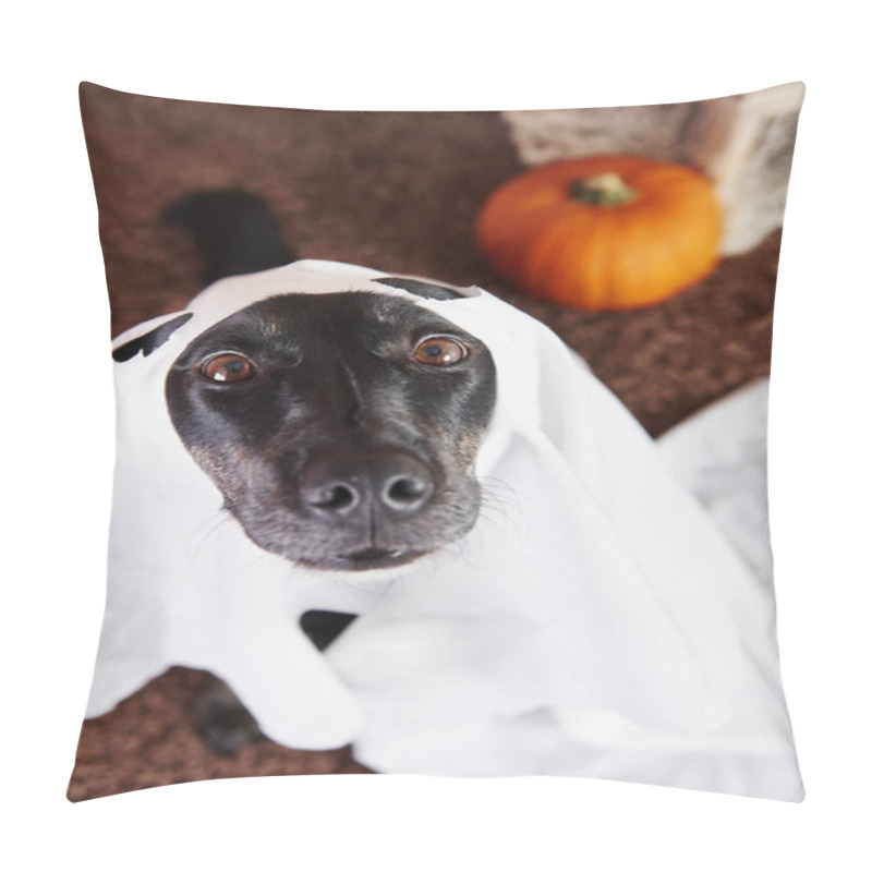 Personality  Close Up Of Dog In Ghost Costume  Pillow Covers