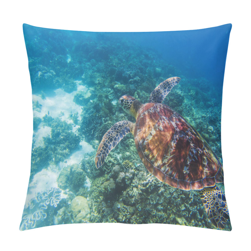 Personality  Sea Turtle In Tropical Seashore Underwater Photo. Cute Green Turtle Undersea. Marine Tortoise Swims Above Coral Reef. Marine Sanctuary For Endangered Species. Oceanic Wildlife. Sea Turtle In Nature Pillow Covers