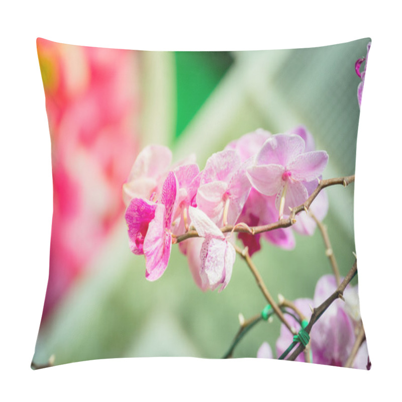 Personality  Beautiful Blooming Orchids In Forest Pillow Covers