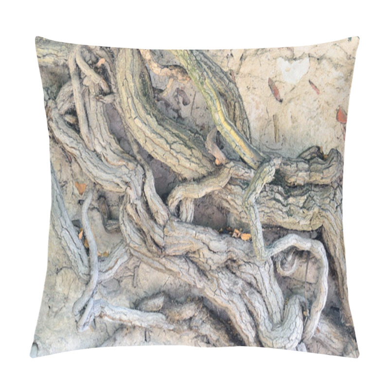 Personality  Very Old Tree Roots Pillow Covers