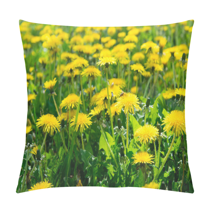 Personality  Bright Beautiful Background Of Yellow Dandelions Flowers Pillow Covers