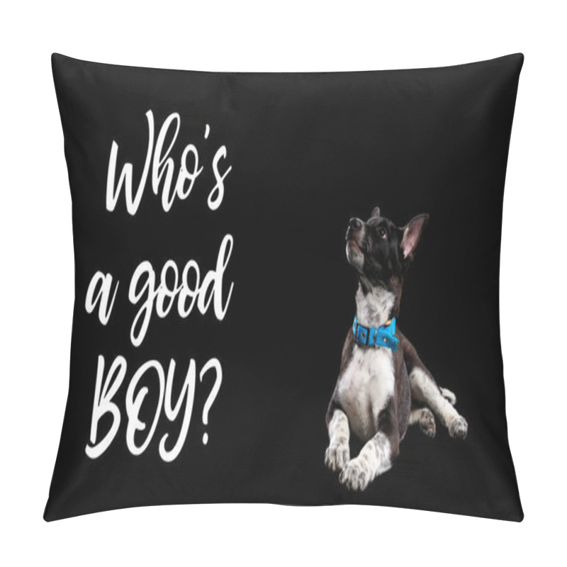 Personality  Dark Mongrel Dog In Blue Collar And Lettering Whos Good Boy Isolated On Black Pillow Covers