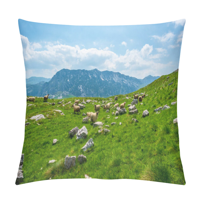 Personality  Flock Of Sheep Grazing On Valley With Small Stones In Durmitor Massif, Montenegro Pillow Covers