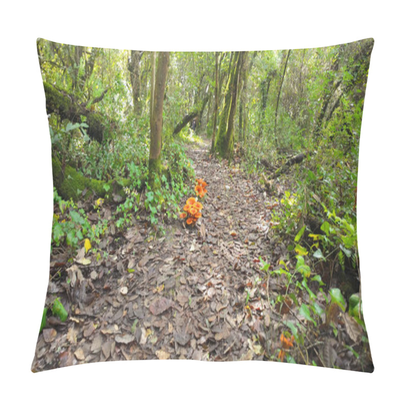 Personality  Vibrant Orange Mushrooms Growing In Clusters On Forest Floor Amid Fallen Autumn Leaves And Green Undergrowth, Creating A Striking Natural Display In Woodland At Rio De Mouros Pathway In Condeixa, Coimbra Portugal. Pillow Covers