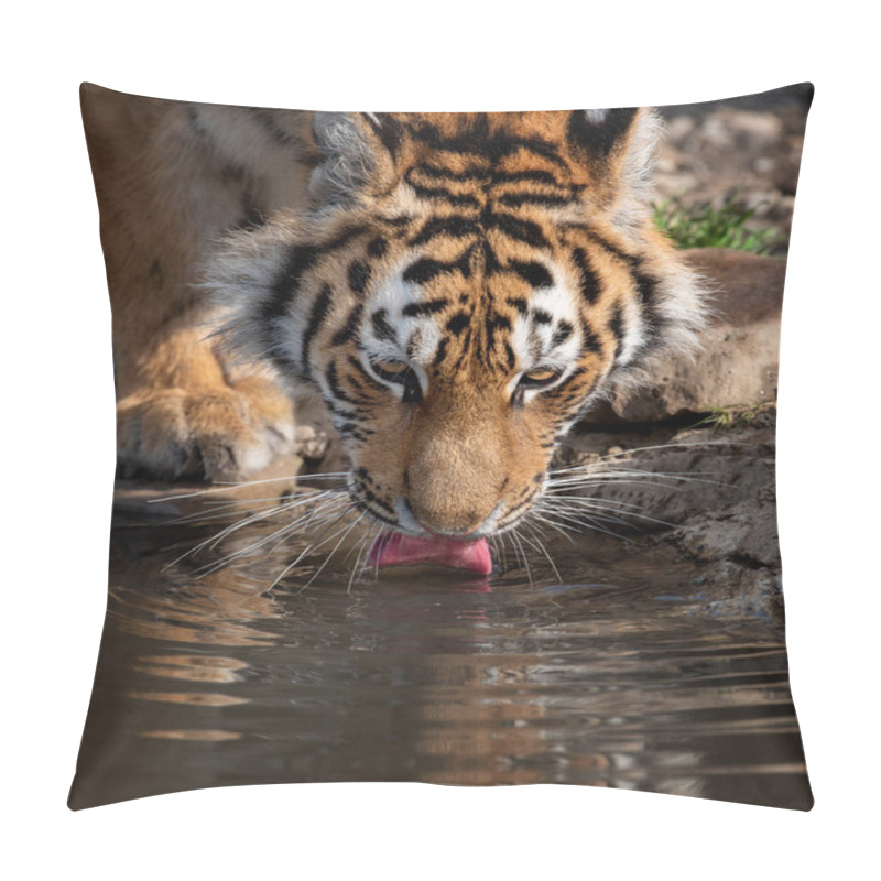 Personality  Tiger Male Drinking Water Pillow Covers