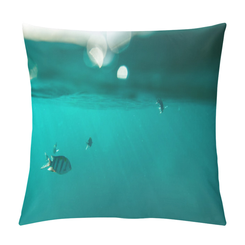 Personality  Breathtaking Underwater View,Thailand Pillow Covers