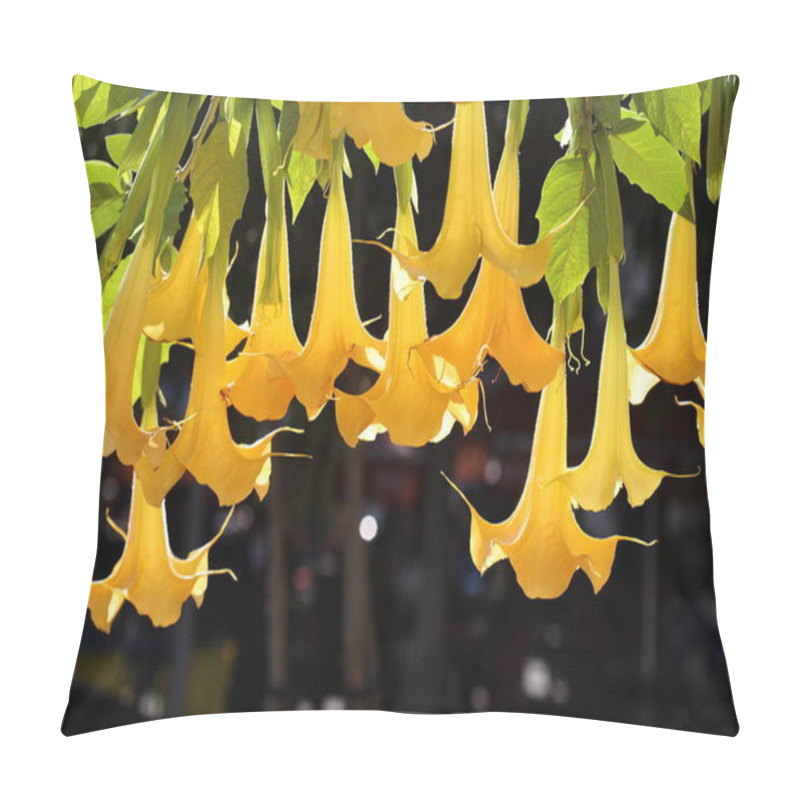 Personality  Brugmansia Arborea (angel's Trumpet) Is A Species Of Flowering Plant In The Family Solanaceae Pillow Covers