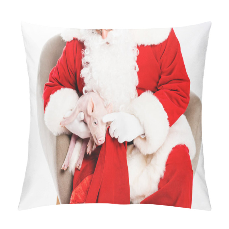 Personality  Santa Claus Sitting In Armchair And Petting Little Pig Isolated On White Pillow Covers