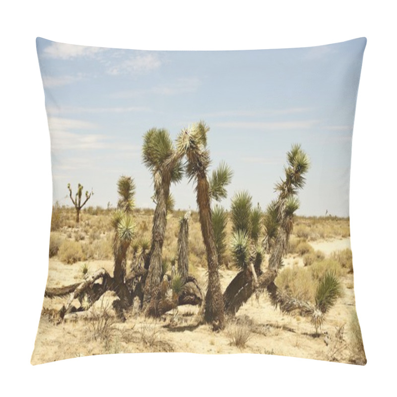 Personality  Joshua Tree Pillow Covers