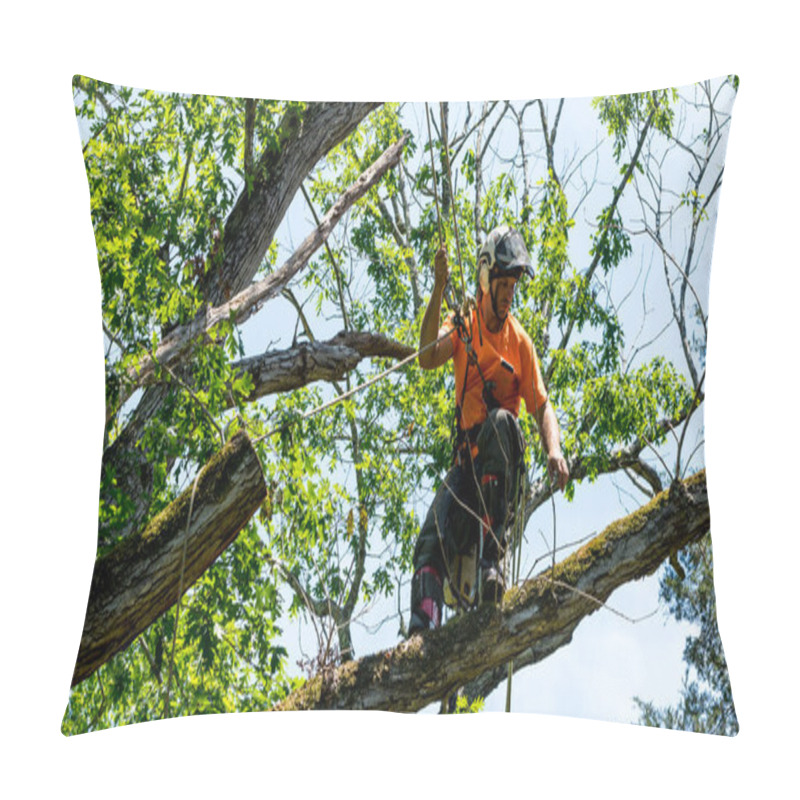 Personality  Worker In Orange Shirt Climbing In Tree Cutting Off Dead Branches In North Carolina Pillow Covers