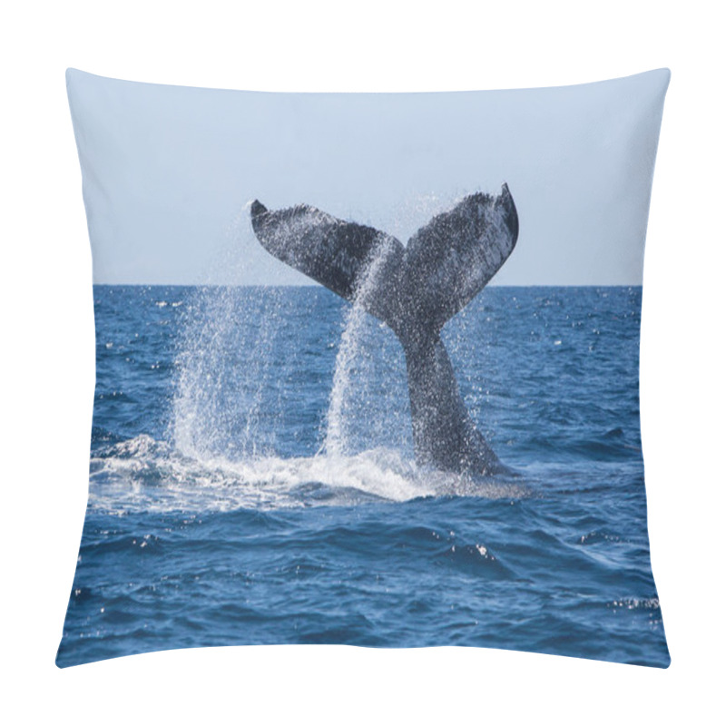 Personality  A Humpback Whale, Megaptera Novaeangliae, Slams Its Massive Fluke Down On The Blue Waters Of The Caribbean Sea. Pillow Covers