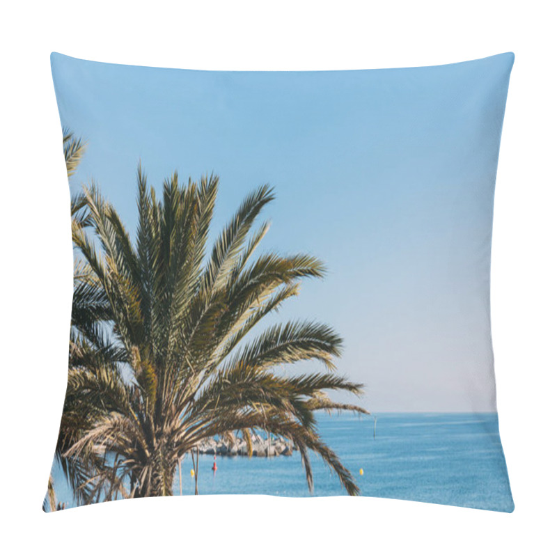 Personality  Scenic View Of Lush Palm Tree And Blue Sea, Barcelona, Spain Pillow Covers