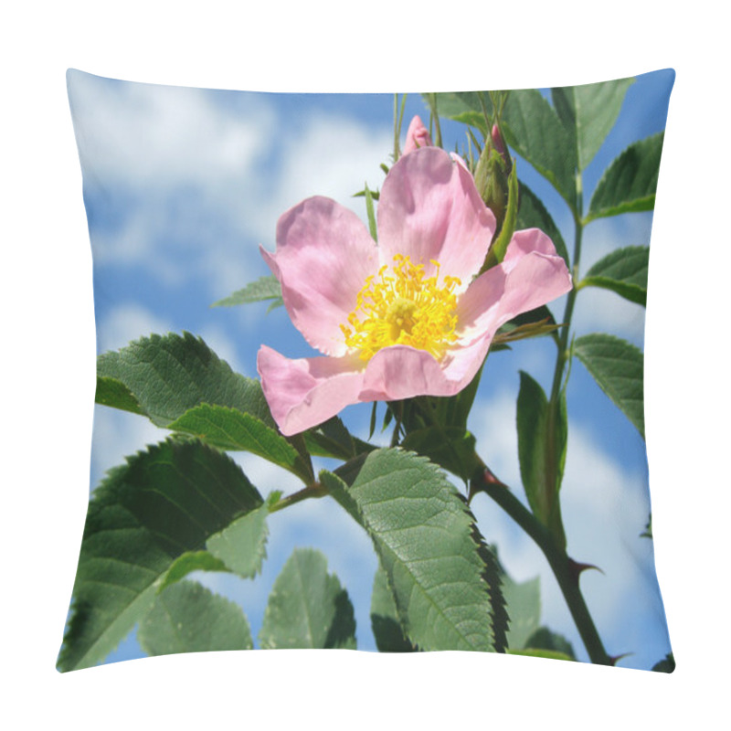 Personality  Pink Wild Rose (Rosa Canina) Pillow Covers