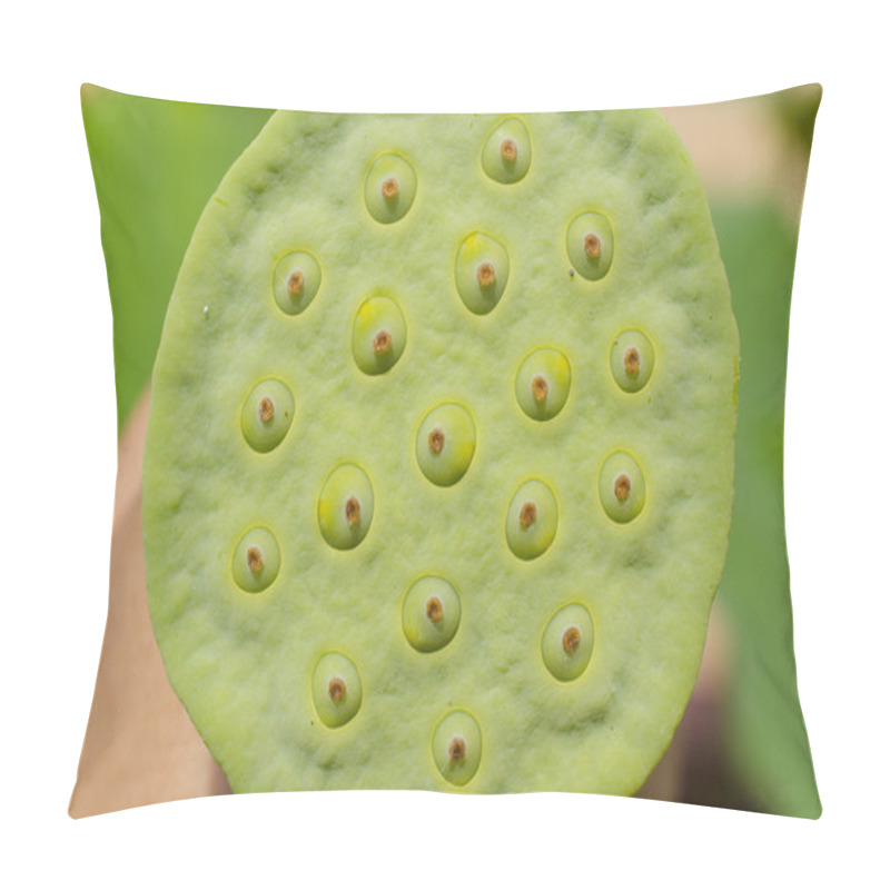 Personality  Close Up Of Lotus Seed Pillow Covers