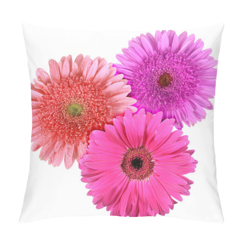 Personality  Set Of Three Flowers Isolated On White Background Pillow Covers