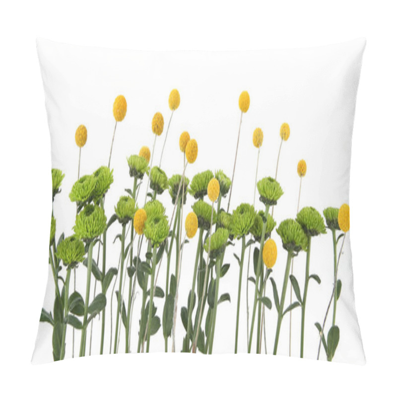 Personality  Green Chrysanthemum And Yellow Craspedia Flowers Isolated On White Background. Arrangement Of Mini Chrysanthemum Santini And Craspedia Globosa. Pillow Covers