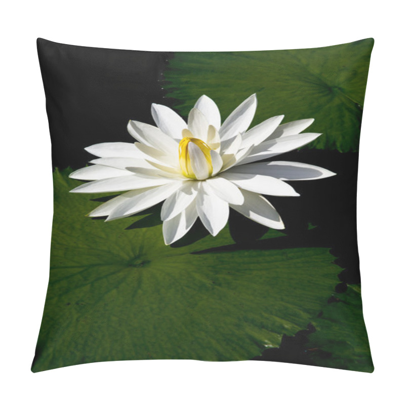 Personality  Lotus Pillow Covers