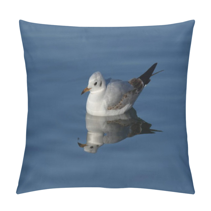 Personality  Black-headed Gull - (Chroicocephalus Ridibundus)  Pillow Covers