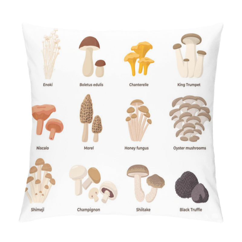 Personality  Large Mushroom Set Of Vector Illustrations In Flat Design Isolated On White. Cep, Chanterelle, Honey Agaric, Enoki, Morel, Oyster Mushrooms, King Oyster, Shimeji, Champignon, Shiitake, Black Truffle. Pillow Covers